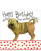 Another year, another wrinkle - Alex Clark birthday cards