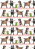 Country dogs - Alex Clark gift wrap with tags