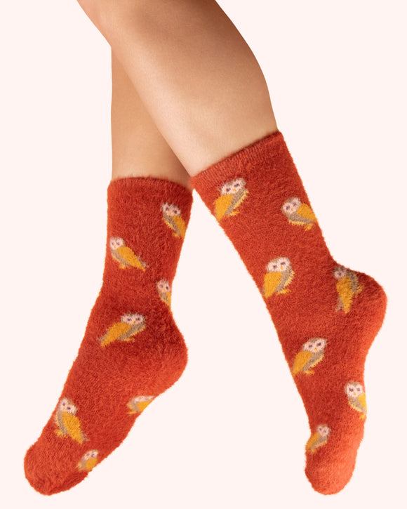 Owls in Tangerine ladies fuzzy socks - Powder UK