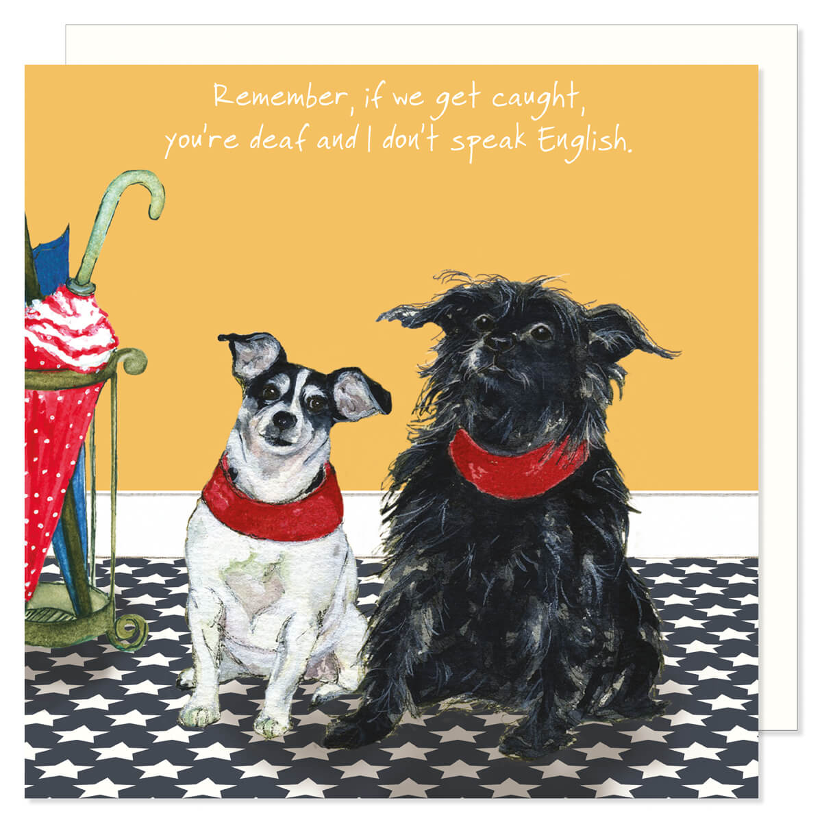 A cute and funny greetings card showing two terrier style dogs  sat on a tiled floor