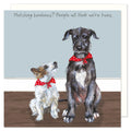 A cute and funny greetings card showing a black sausage dog (dachshund) with a ball in his mouht bounding across a tiles floor
