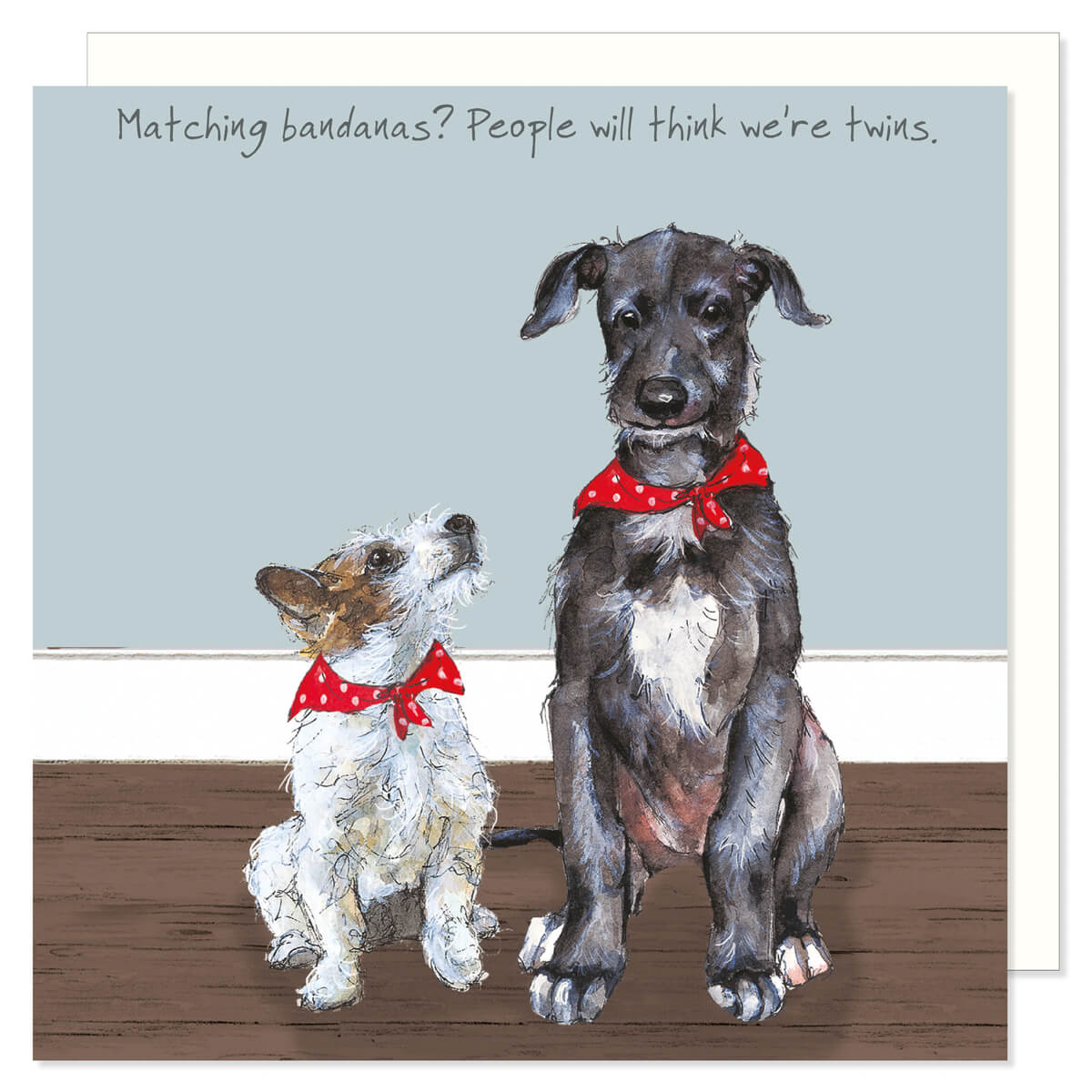A cute and funny greetings card showing a black sausage dog (dachshund) with a ball in his mouht bounding across a tiles floor