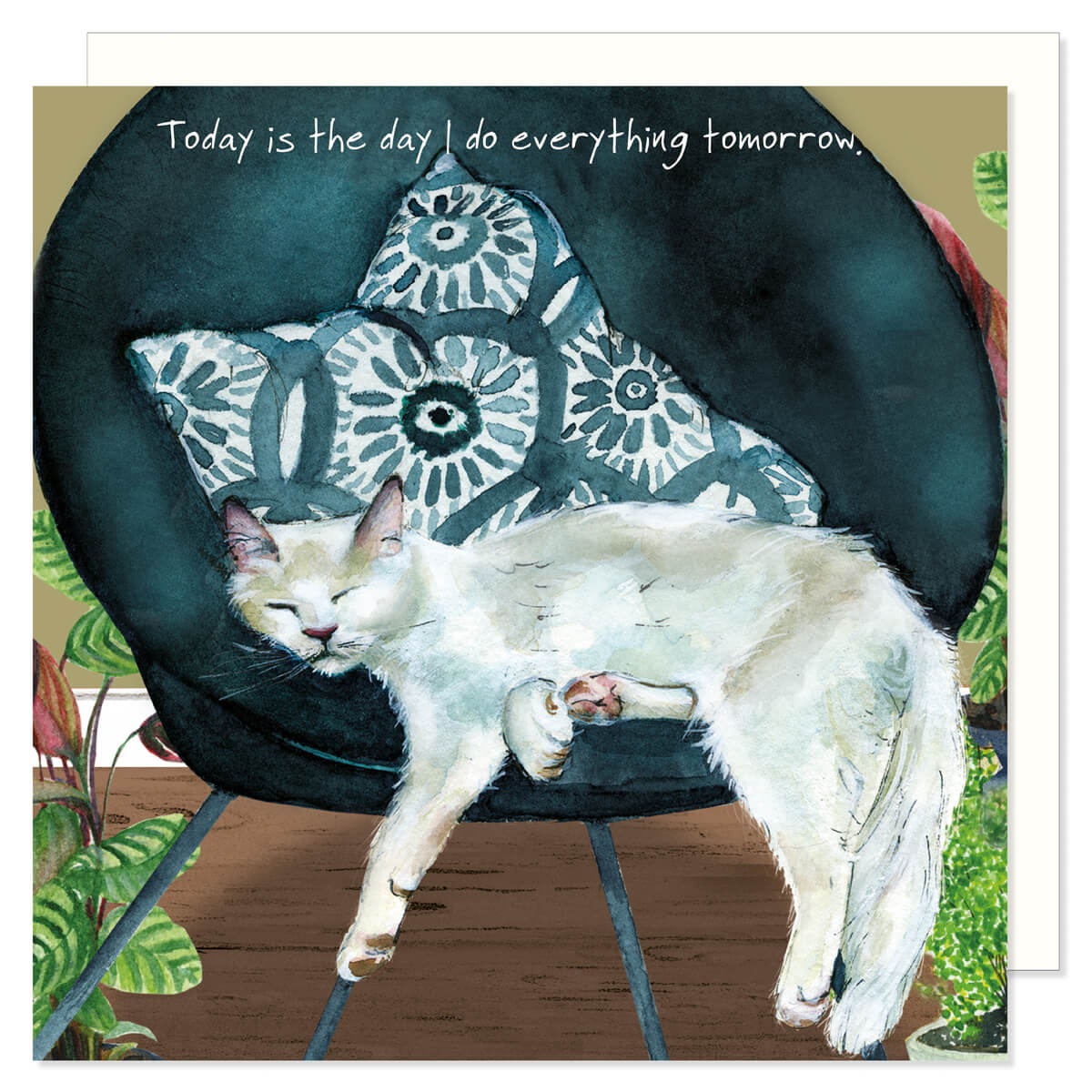 A cute and funny greetings card showing a white cat asleep on a chair