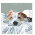 An adorable card showing a jack russell terrier dog asleep on a bed