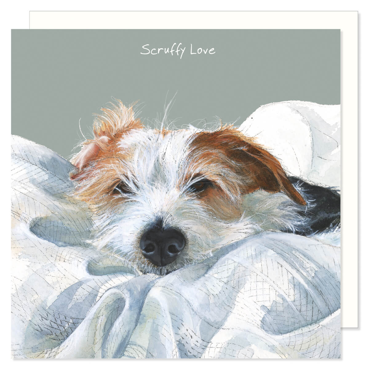 An adorable card showing a jack russell terrier dog asleep on a bed