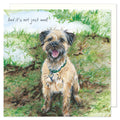 A cute and funny greetings card showing a border terrier dog in amuddy field