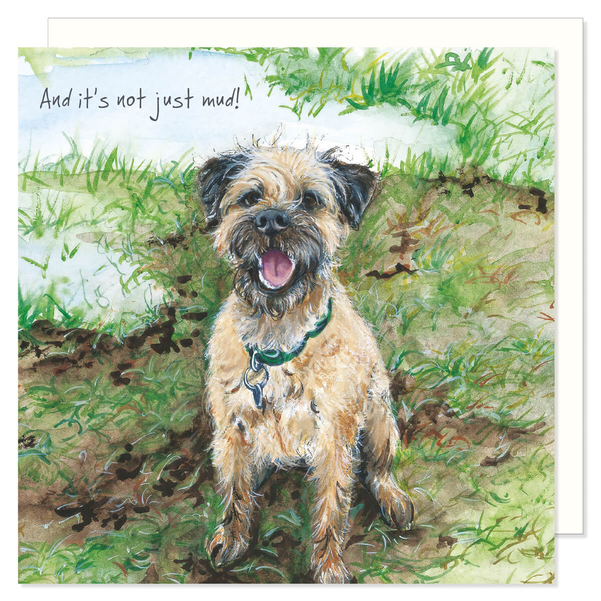 A cute and funny greetings card showing a border terrier dog in amuddy field