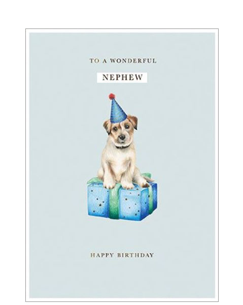 Nephew - birthday card