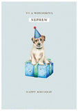 Nephew - birthday card