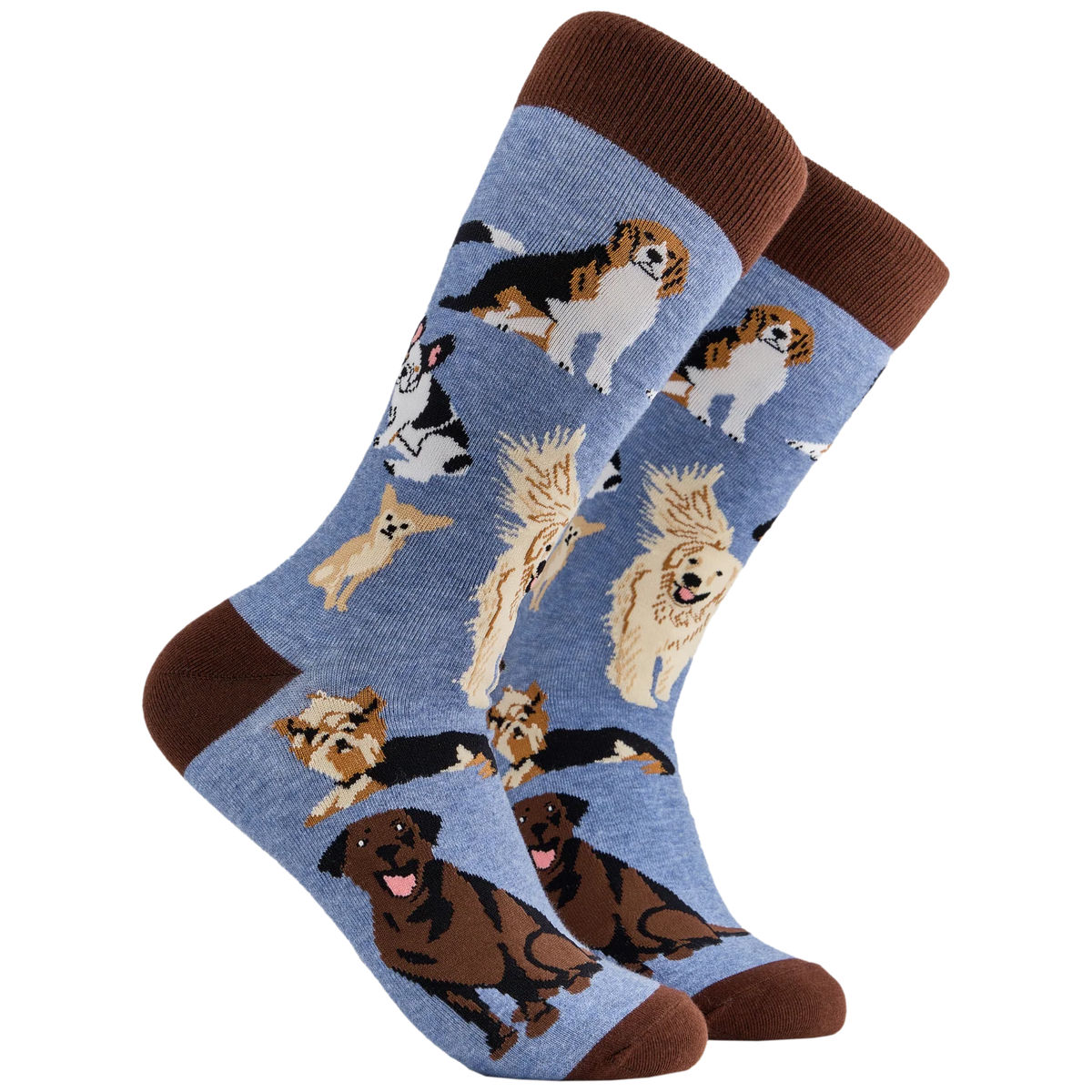 Pale blue adult crew socks with brown toes and heels from Socktopus featuring brown labradors, yorkies, beagles and chihuahua dogs
