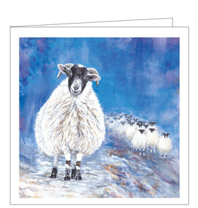 This lovely blank greetings card features detail from an artwork by Julia Pankhurst showing one sheep, with a humorous expression, pausing to let the rest of the flock catch up.
