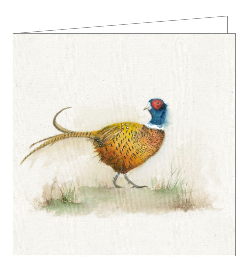 This lovely blank greetings card features detail from a watercolour artwork by Sarah Reilly showing a beautifully coloured pheasant. There is a poem to read on the back about these lovely creatures.