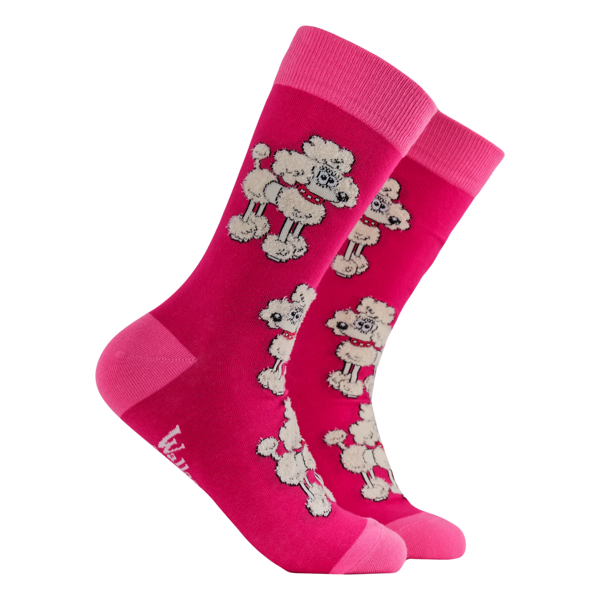 Pink adult crew socks with poodle design on a pink background from socktopus