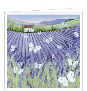 This beautiful blank greetings card features detail from an artwork by Lucy Grossmith showing a beautiful purple lavender field bursting with butterflies. The colouring is  a superb mixture of purples and greens.