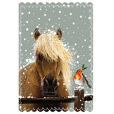 Horse & Robin - Pack of 5 Alex Clark Christmas cards
