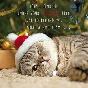 This fabulous christmas card is decorated with a photograph of a very cute grey kitten - wearing a santa hat - lying on a carpet beneath a christmas tree. The caption on the front of the card reads "You'll find me under your Christmas tree, just to remind you what a gift I am".