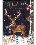 Dad Christmas card - Jonny Javelin Christmas card