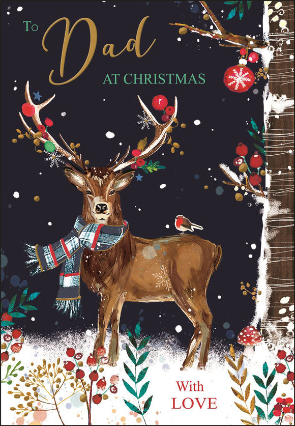 Dad Christmas card - Jonny Javelin Christmas card