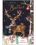 Brother Christmas card - Jonny Javelin Christmas card