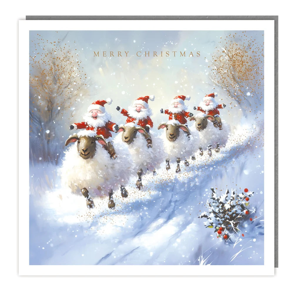 Sheeple-chase -Christmas charity pack 5 cards