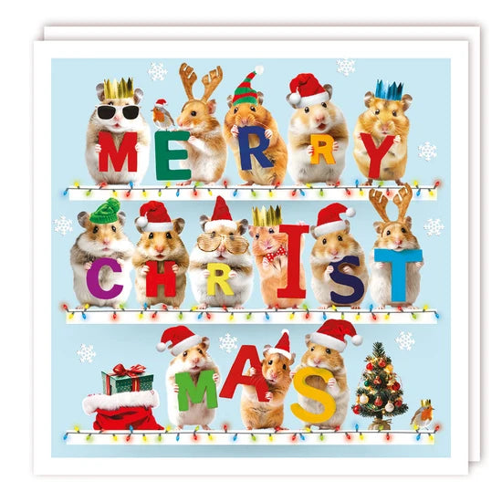 Christmas Hamsters- Advent calendar card