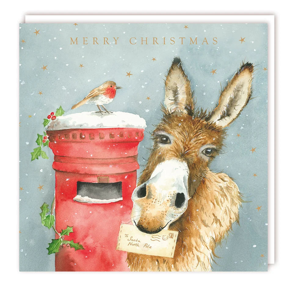 Donkey & Robin - pack 5 charity Christmas cards