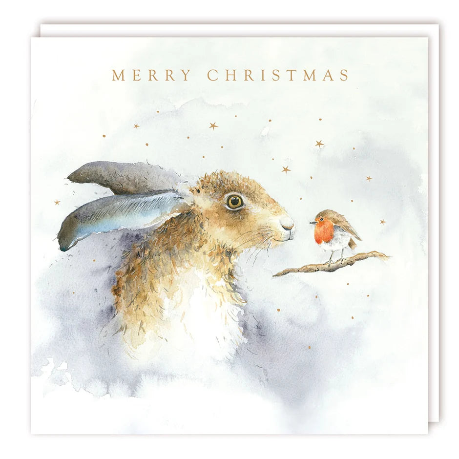 Hare & Robin - Pk 5 Charity Christmas cards