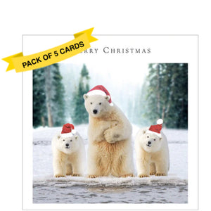 This pack of 5 Charity Christmas cards feature an edited image showing a polar bear and two cubs all wearing santa hats. The caption on the front of the cards reads "Merry Christmas".