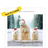 This pack of 5 Charity Christmas cards feature an edited image showing a polar bear and two cubs all wearing santa hats. The caption on the front of the cards reads "Merry Christmas".