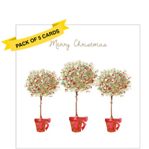 This pack of 5 Charity Christmas cards feature an artwork by Gerry Murray showing a trio of trees, in red plant pots and blooming with red berries. The caption on the front of the cards reads "Merry Christmas".