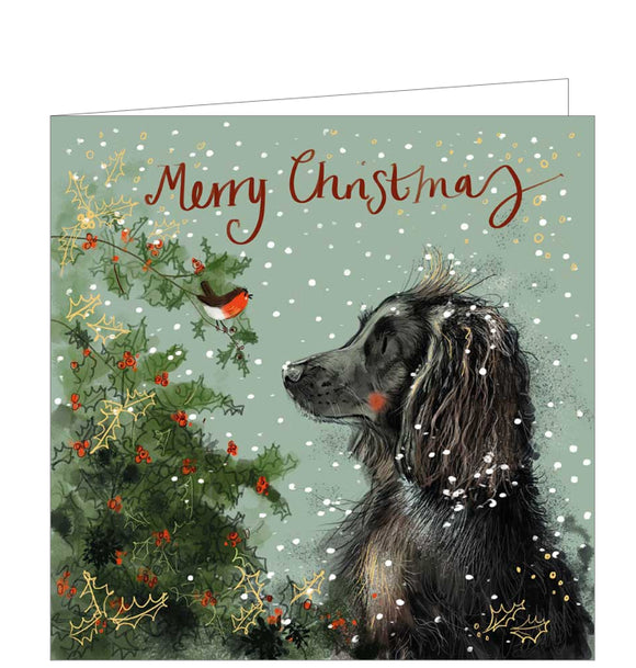 Part of Alex Clark's Christmas card collection, this Christmas card is decorated with Alex's painting of a black spaniel dog looking at a robin perched on a holly bush. The text on the front of the card reads 
