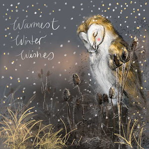 Part&nbsp;of Alex Clark's Christmas card collection, this Christmas card is decorated with Alex's painting of&nbsp;a barn owl in a grey, winterly landscape, with a swirl of snow and stars around the owl.&nbsp;The&nbsp;text on the front of the card reads "Warmest Winter Wishes".