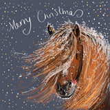 Part&nbsp;of Alex Clark's Christmas card collection, this Christmas card is decorated with Alex's painting of&nbsp;a chestnut coloured horse&nbsp;with its snow-covered mane swirling around the pony's face.&nbsp;The&nbsp;text on the front of the card reads "Merry Christmas".