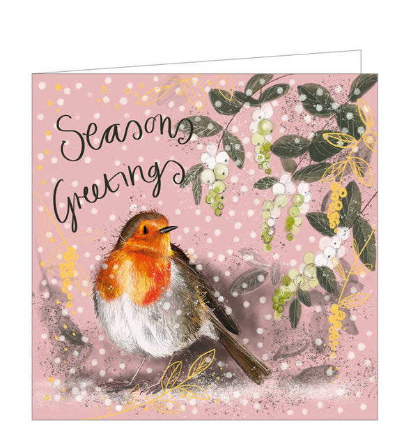 Part of Alex Clark's Christmas card collection, this Christmas card is decorated with Alex's painting of a robin looking at a bush of winter berries. The text on the front of the card reads 