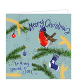 Part of Alex Clark's Christmas card collection, this Christmas card is decorated with Alex's painting of a robin, wearing a blue bobble hat, perched on a fir-tree branch. The text on the front of the card reads "Merry Christmas to a very special Son x".