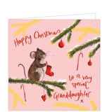 Part of Alex Clark's Christmas card collection, this Christmas card for a special granddaughter is decorated with Alex's painting of a cute little mouse hanging a christmas stocking from a fir tree branch. The text on the front of the card reads "Happy Christmas to a very special Granddaughter x".