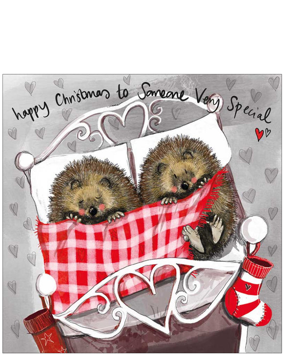 Someone Very special - Alex Clark Christmas card