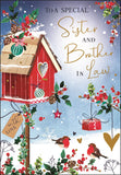 Sister & Brother-in-Law Christmas card - Jonny Javelin Christmas card
