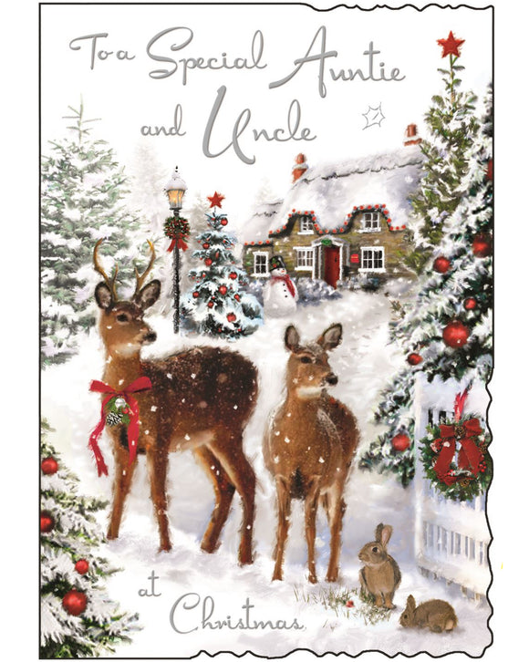 Auntie & Uncle - Jonny Javelin Christmas card