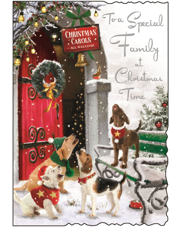 Special Family Christmas card - Jonny Javelin Christmas card