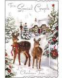 Special Couple - Jonny Javelin Christmas card