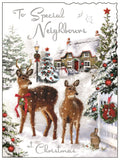 Special Neighbours - Jonny Javelin Christmas card