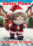 Santa Paws - funny Christmas card