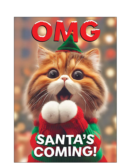 OMG! Santa's coming! - funny Christmas card
