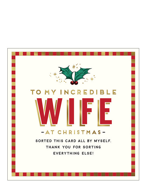 To my incredible Wife - funny Christmas card