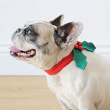 Doggy Christmas Dress-up