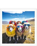 Cool Sheep - Birthday Card