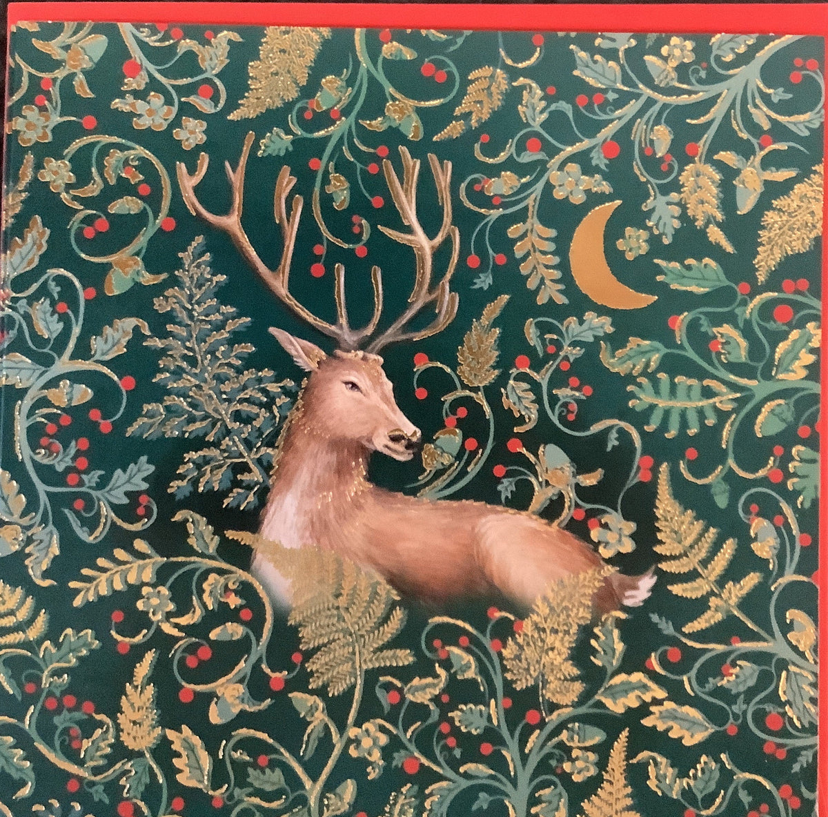 Festive Stag - 5 pk of Charity Christmas cards