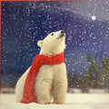 Polar Bear in Snow - 6 pack of Charity christmas cards