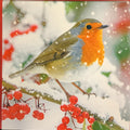 Robin and Berries  - 6 pack charity Chrsitmas cards